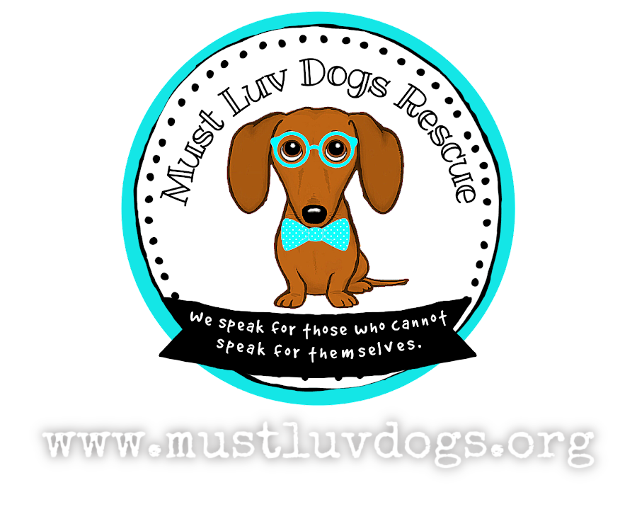 Must Luv Dogs, Jackson, Louisiana